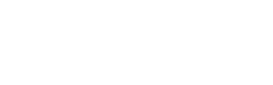 LOGO SMARTHOLD